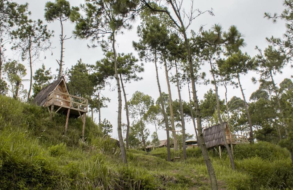 Papandayan Camping Ground Hotel Cileuleuy Exterior foto