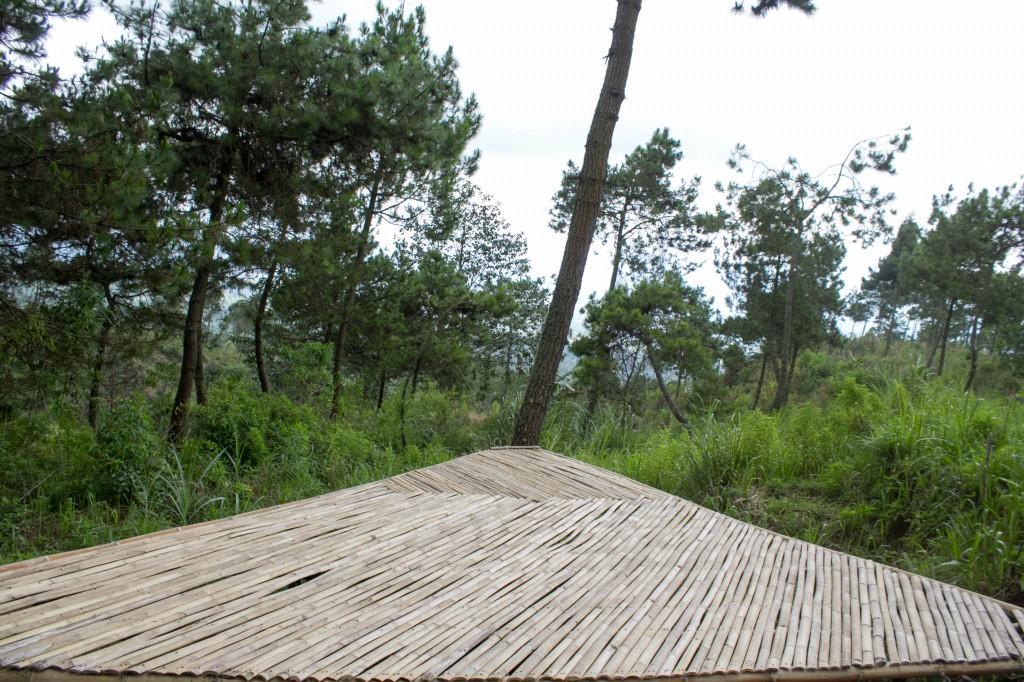 Papandayan Camping Ground Hotel Cileuleuy Exterior foto