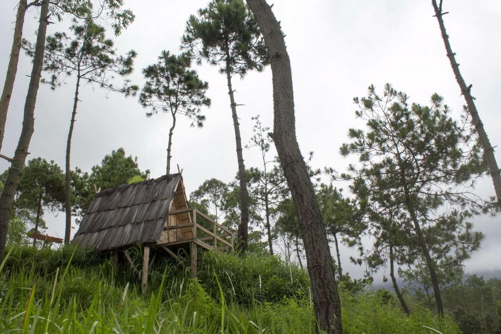 Papandayan Camping Ground Hotel Cileuleuy Exterior foto