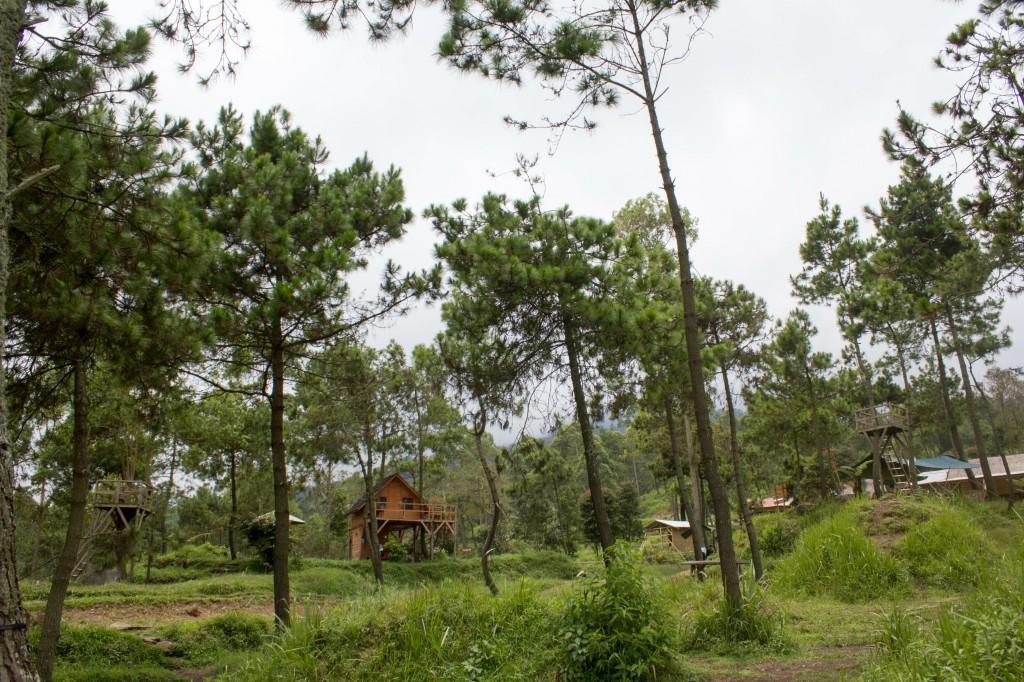 Papandayan Camping Ground Hotel Cileuleuy Exterior foto