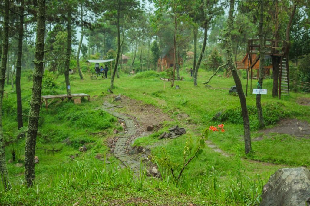 Papandayan Camping Ground Hotel Cileuleuy Exterior foto
